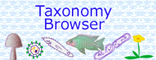 NCBI Taxonomy Browser