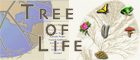 Tree of Life Web Project
